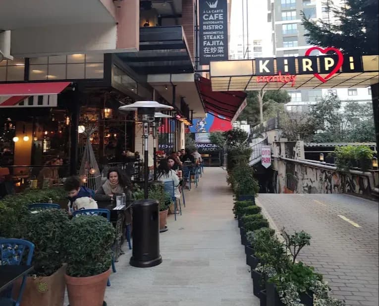 Kirpi Erenköy